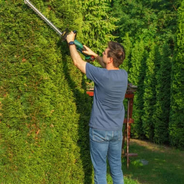 Landscaping and yard trim