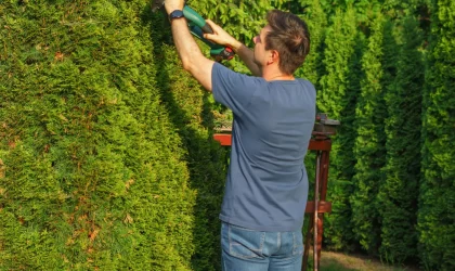 Landscaping and yard trim