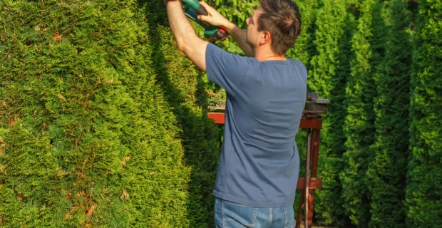 Landscaping and yard trim