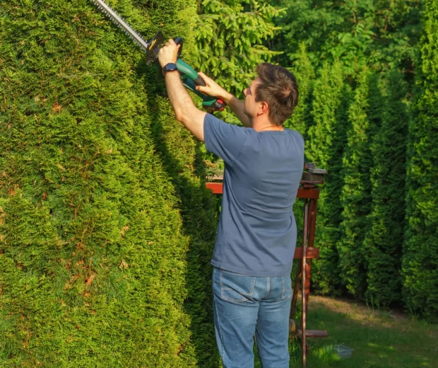 Landscaping and yard trim