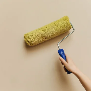 Paint roller wall detail