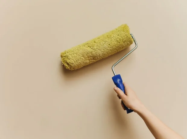 Paint roller wall detail