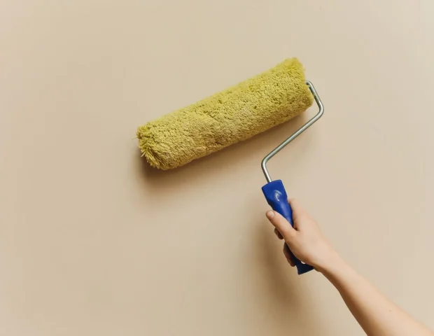 Paint roller wall detail
